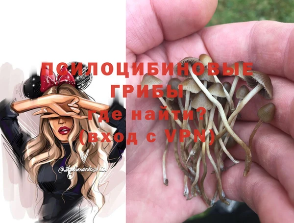 молекула духа Верея