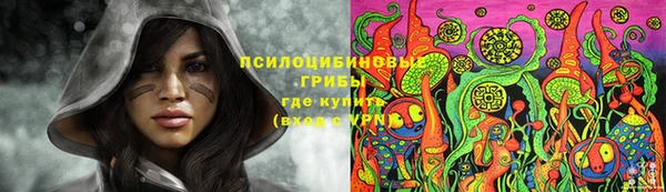 молекула духа Верея